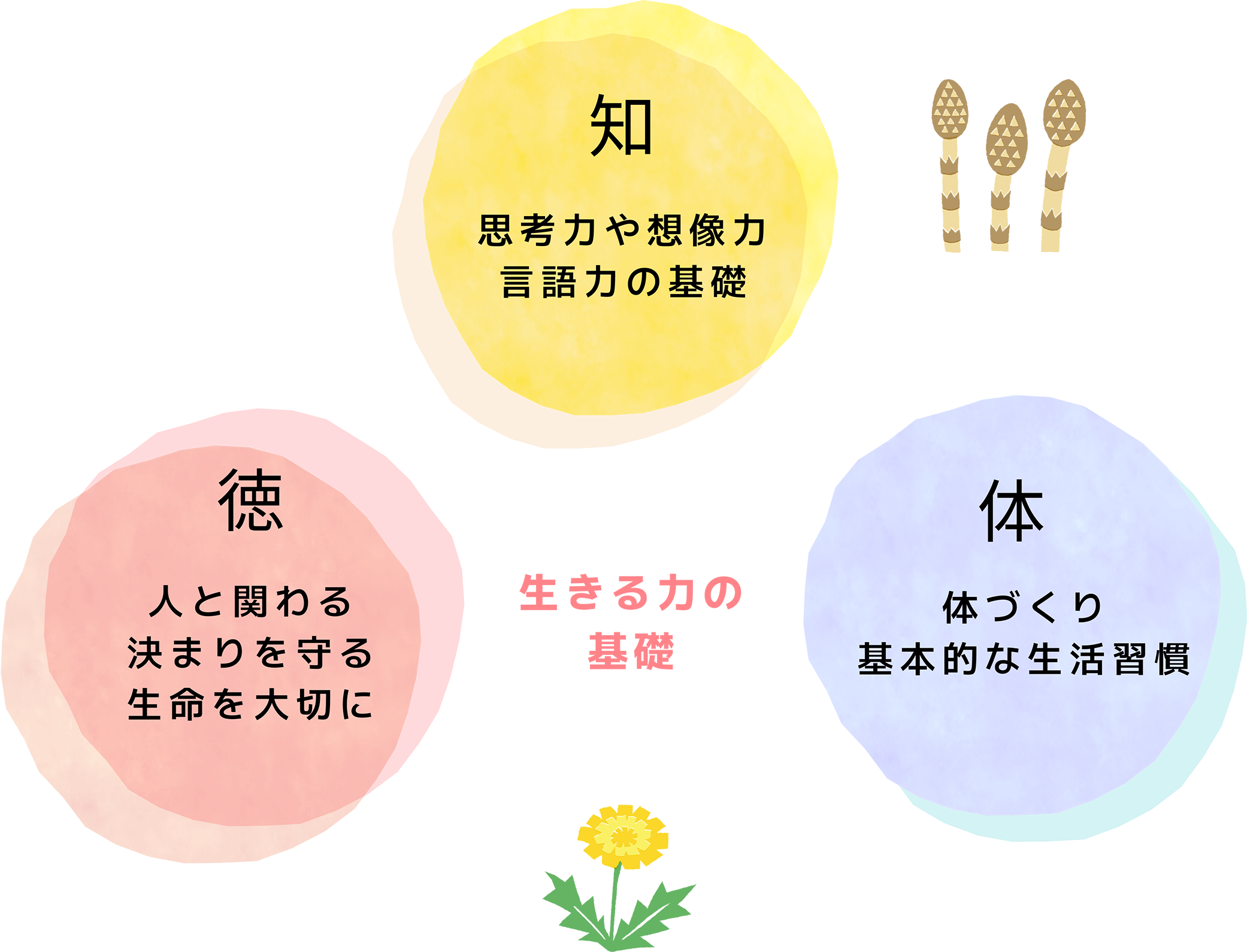 生きる力の基礎　知 思考力や想像力、言語力の基礎 徳 人と関わる、決まりを守る、生命を大切に 体 体づくり、基本的な生活習慣