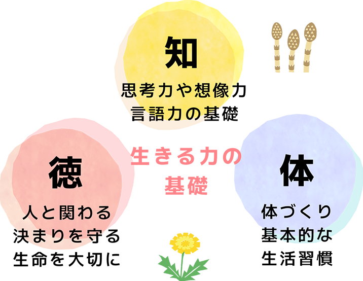 生きる力の基礎　知 思考力や想像力、言語力の基礎 徳 人と関わる、決まりを守る、生命を大切に 体 体づくり、基本的な生活習慣