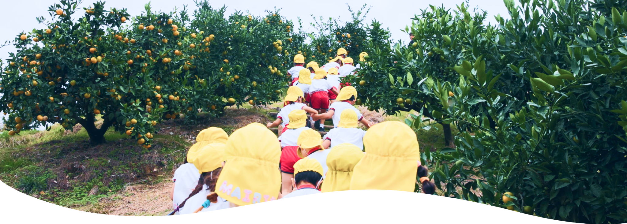 みかん園の遠足
